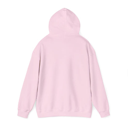 He Knows My Name hoodie | Faith Scripture Sweatshirt, Psalm 91:1