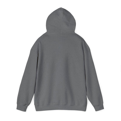 He Knows My Name hoodie | Faith Scripture Sweatshirt, Psalm 91:1