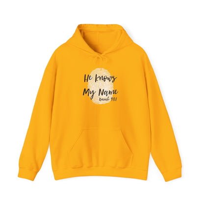 He Knows My Name hoodie | Faith Scripture Sweatshirt, Psalm 91:1