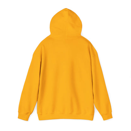 He Knows My Name hoodie | Faith Scripture Sweatshirt, Psalm 91:1