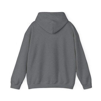 He Knows My Name hoodie | Faith Scripture Sweatshirt, Psalm 91:1