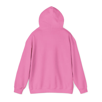 He Knows My Name hoodie | Faith Scripture Sweatshirt, Psalm 91:1